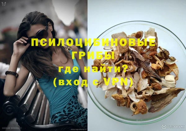 ешки Алзамай