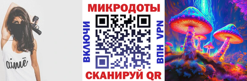 где купить наркоту  Балей  Галлюциногенные грибы Psilocybe 